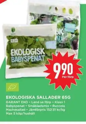 Willys Hemma EKOLOGISKA SALLADER 65G erbjuda