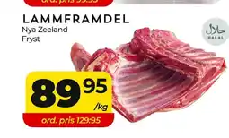 Matrix Butikerna Lammframdel erbjuda