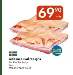Snabbgross SCAN Sida med svål rapsgris erbjuda