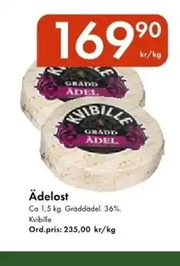 Snabbgross KVIBILLE Ädelost erbjuda