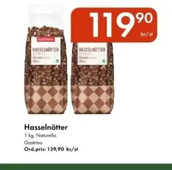 Snabbgross GASTRINO Hasselnötter erbjuda