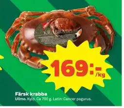 Stora Coop Färsk krabba, SEK 169 erbjuda