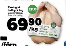 Stora Coop Ekologisk hel kyckling, SEK 69.9 erbjuda