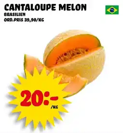 Nelins Cantaloupe melon brasilien erbjuda