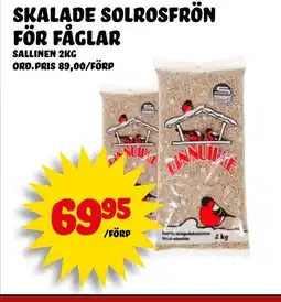 Nelins Skalade solrosfrön för fåglar erbjuda