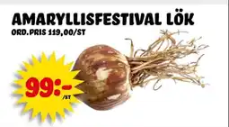 Nelins Amaryllisfestival lök erbjuda