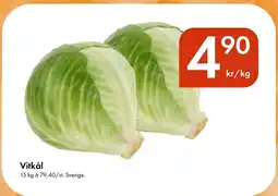 Snabbgross Vitkål erbjuda