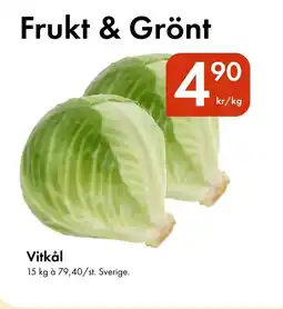 Snabbgross Vitkål erbjuda