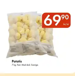 Snabbgross Potatis erbjuda