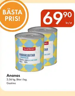 Snabbgross GASTRINO Ananas erbjuda