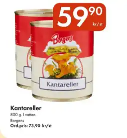 Snabbgross Borgens Kantareller erbjuda