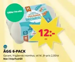 Tempo Garant Ägg erbjuda