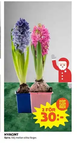 Coop HYACINT, SEK 30 erbjuda