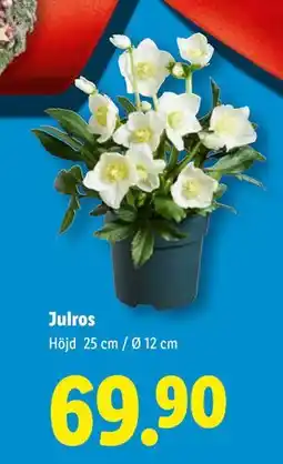 Lidl Julros, SEK 69.9 erbjuda