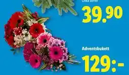 Lidl Adventsbukett, SEK 129 erbjuda