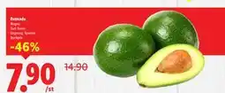 Lidl Avokado, SEK 7.9 erbjuda