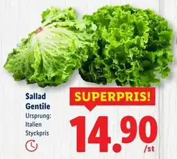 Lidl Sallad Gentile, SEK 14.9 erbjuda