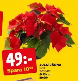 Jem&Fix Julstjärna erbjuda