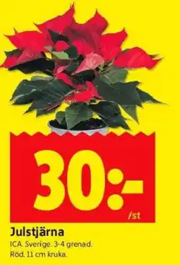 ICA Kvantum Julstjärna erbjuda