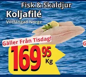 Supergrossen Koljafilé, SEK 169.95 erbjuda