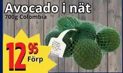 Supergrossen Avocado i nät, SEK 12.95 erbjuda