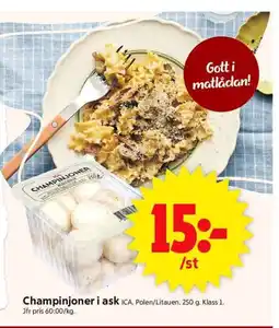ICA Supermarket ICA Champinjoner i ask erbjuda