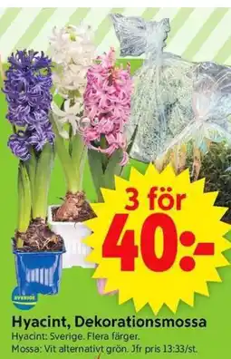 ICA Supermarket Hyacint, Dekorationsmossa erbjuda