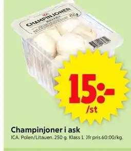 ICA Supermarket ICA Champinjoner i ask erbjuda