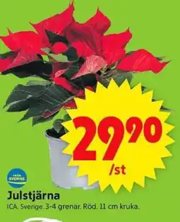 ICA Supermarket Julstjärna erbjuda