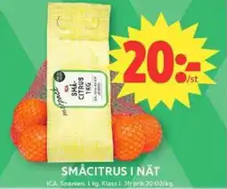 ICA Maxi ICA Småcitrus i nät erbjuda