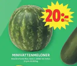 ICA Maxi Minivattenmeloner erbjuda