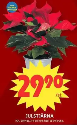 ICA Maxi Julstjärna erbjuda