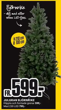 ÖoB JULGRAN BJÖRNRIKE erbjuda