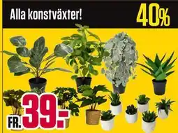 ÖoB Alla konstväxter! erbjuda