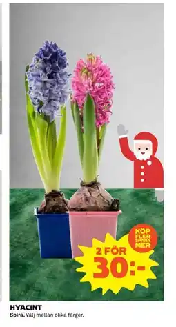 Coop Daglivs HYACINT, SEK 30 erbjuda