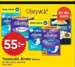 DollarStore Trosskydd, Bindor Always erbjuda