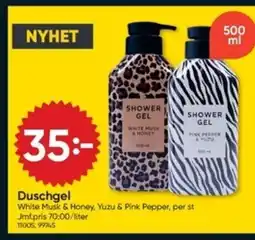 DollarStore Duschgel erbjuda