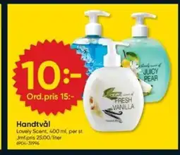 DollarStore Handtvål erbjuda