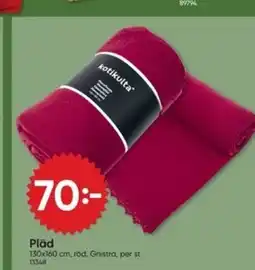 DollarStore Pläd erbjuda