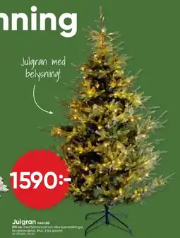 DollarStore Julgran med LED erbjuda