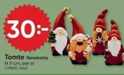 DollarStore Tomte Terrakotta erbjuda