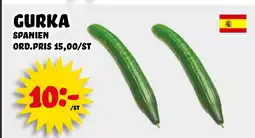Nelins Gurka spanien erbjuda