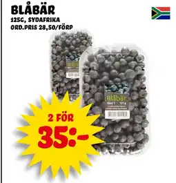 Nelins BLÅBÄR erbjuda