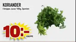 Din Mat Koriander erbjuda