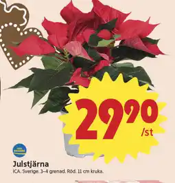 ICA Nära Julstjärna erbjuda