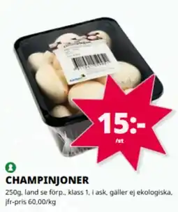 Tempo Champinjoner erbjuda