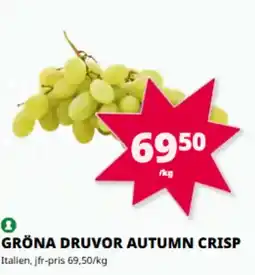 Tempo Gröna druvor autumn crisp erbjuda