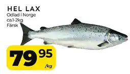 Matrix Butikerna Hel lax erbjuda