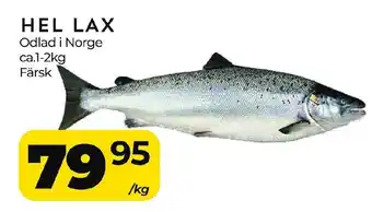 Matrix Butikerna Hel lax erbjuda