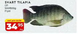 Matrix Butikerna Svart tilapia erbjuda